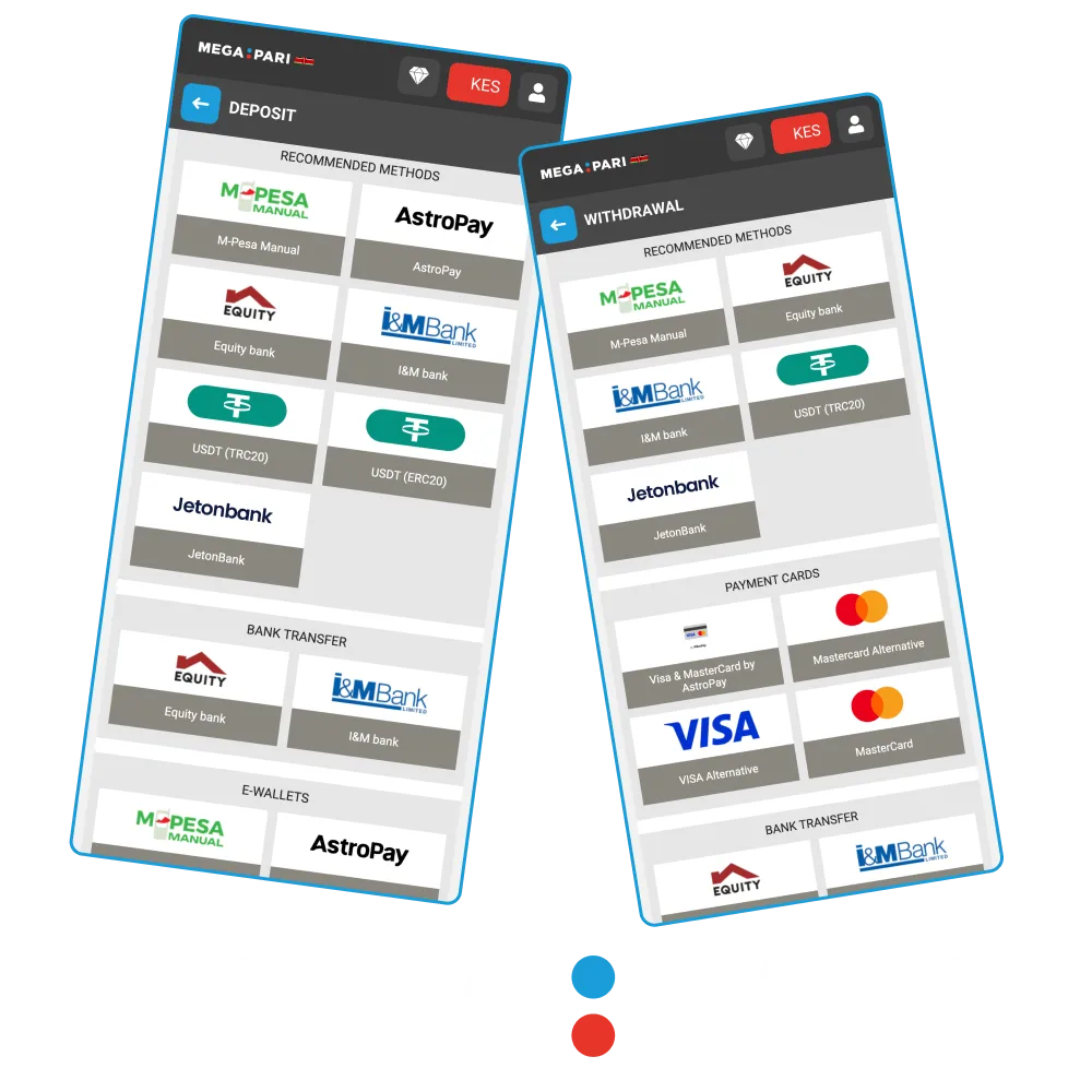 Fast and secure Megapari transactions.