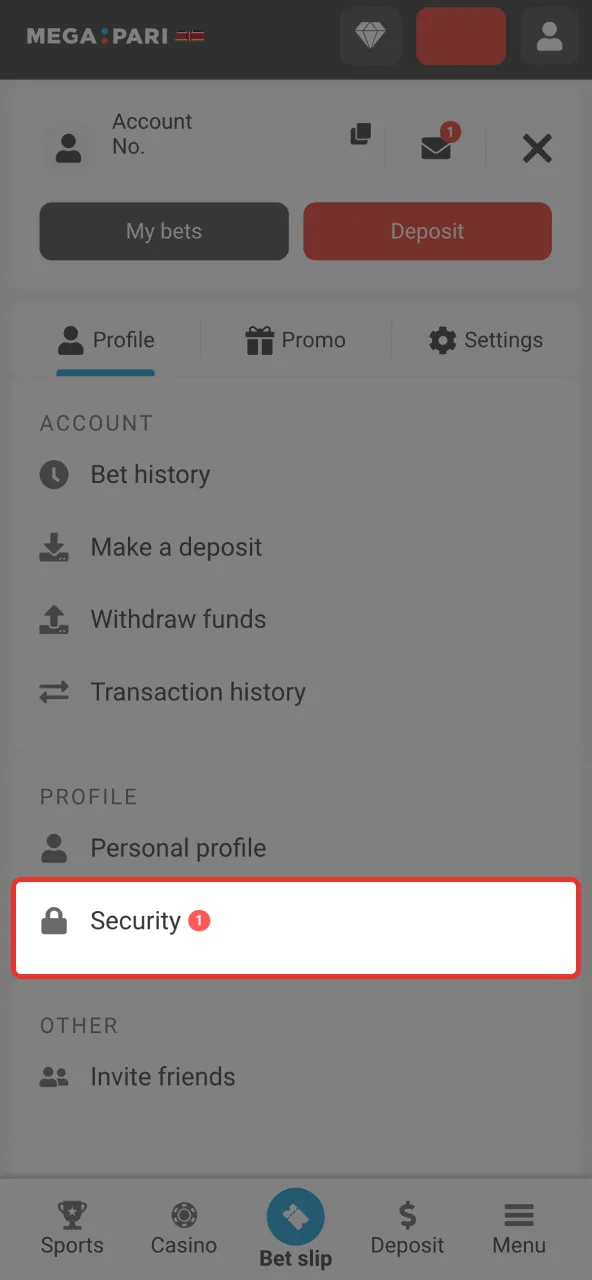 Confirm Megapari account via message or mail.